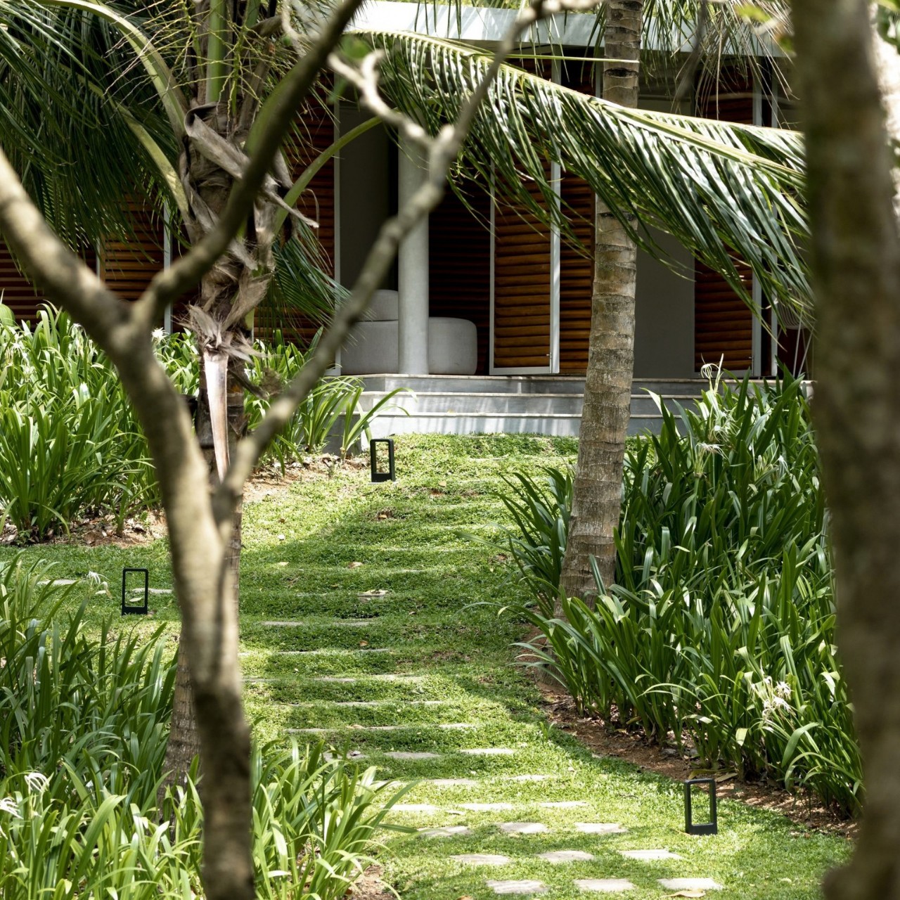 Michelle Freeman Sri Lanka Retreat