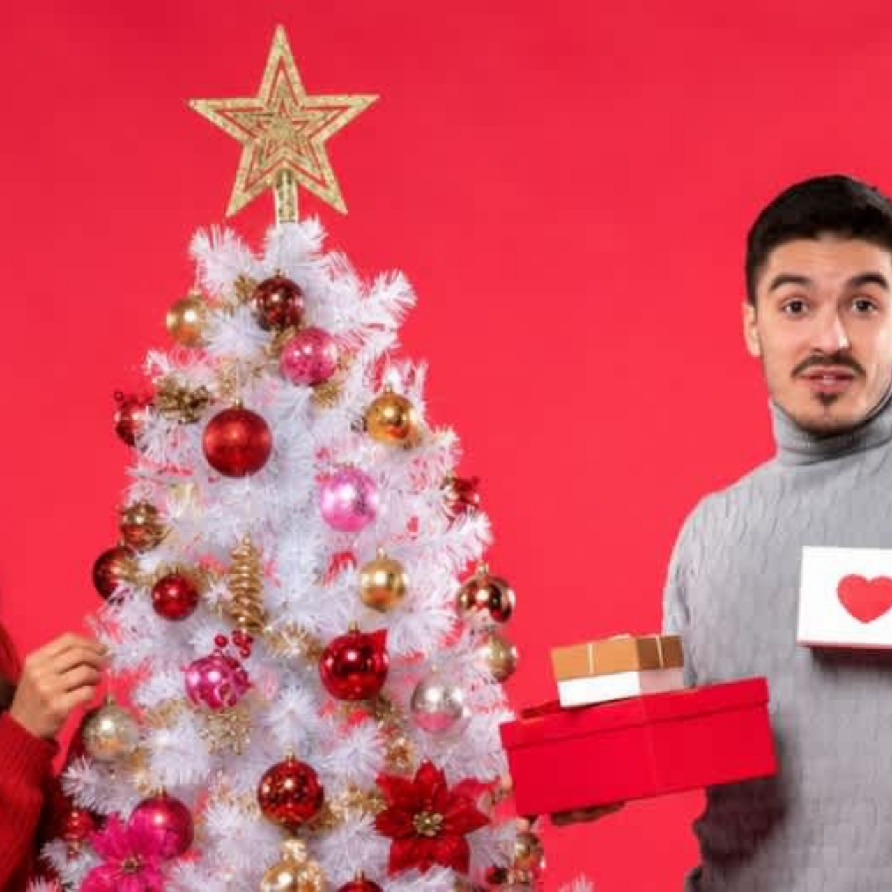 Light Up the Season — Tree Lighting — Avani Kalutara